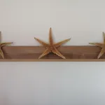 Apartmani Nada