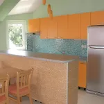 Apartments Pintar Zarok