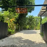 Ds House
