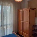 Apartment Simunec