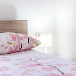 Petra Apartment