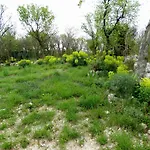 Apartments Dumic Crikvenica