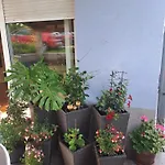 Papa'S Place