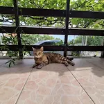 Apartman Rosita