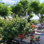 Bed & Breakfast Josip