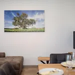 Apartma Stara Maslina
