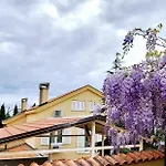 Apartman Rosi