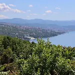 Apartments With A Parking Space Opatija - Pobri, Opatija - 7813