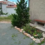 Lucky Star - Free Parking