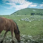 Carski Raj