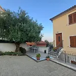 16 Cizici