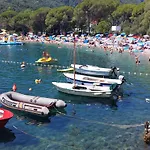 Medveja