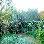 Apartmani Puljar Matic