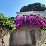 Apartman Pia