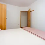 Agava