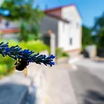 Lumos Residence - Free Private Parking