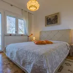 Viki D