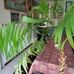 Smjestaj Rab, Brna ,Soba Sa Kuhinjom