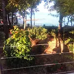 Apartmani 