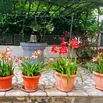 Apartman Lavanda Sa Bazenom I Okucnicom 4*