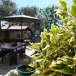 Apartments Olea