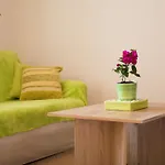 Refined And Timeless Krk Apartment With Terrace