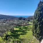 Anamare