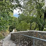 Studio Meratti Gorinka