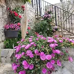 Stone House Rosuja