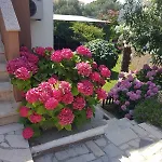 Apartments Mira Krk