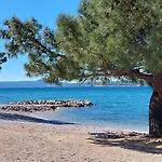 Einzigartiges Apartment Nur 20 Meter Zum Strand Mit Privater Terrasse, Grill - Hundefreundlich