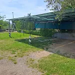Bernarda