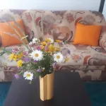 Ferienwohnung Mit Herrlicher Aussicht