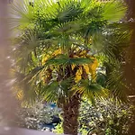 Apartment In Malinska - Insel Krk 43329