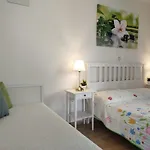 Cute Apartment Arba