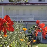 Lovely Meta Apartments