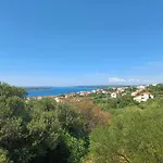 Vikica