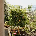 Villa Palma
