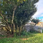 Tiny House Laurus - Stivan, Cres - 900 M To Merascica Beach