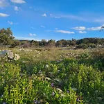 Tiny House Laurus - Stivan, Cres - 900 M To Merascica Beach