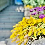 Balcon Del Mar