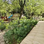 The Forest House Krk 1