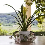 Apartment Gulic