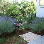 Apartments Jadranka T
