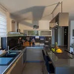 Apartment Simon Says
