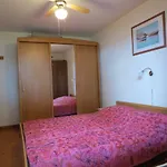 Great Apartment