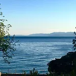 Golden Sea