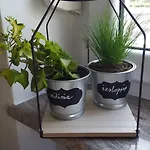 Apartment Greenhouse