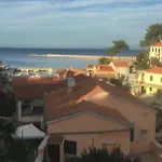 Baracuda