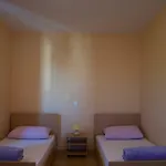 Apartment Viveniti